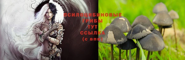 СК Протвино