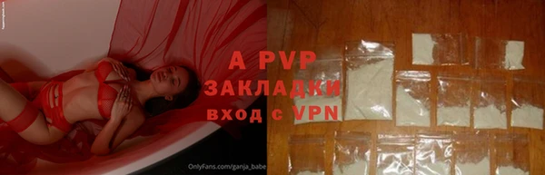 mdpv Богданович